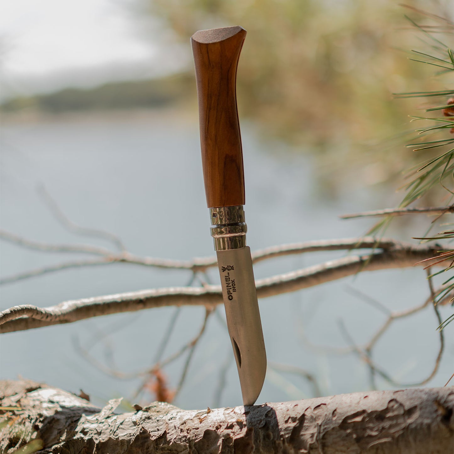 Opinel No 8 Olive Taschenmesser