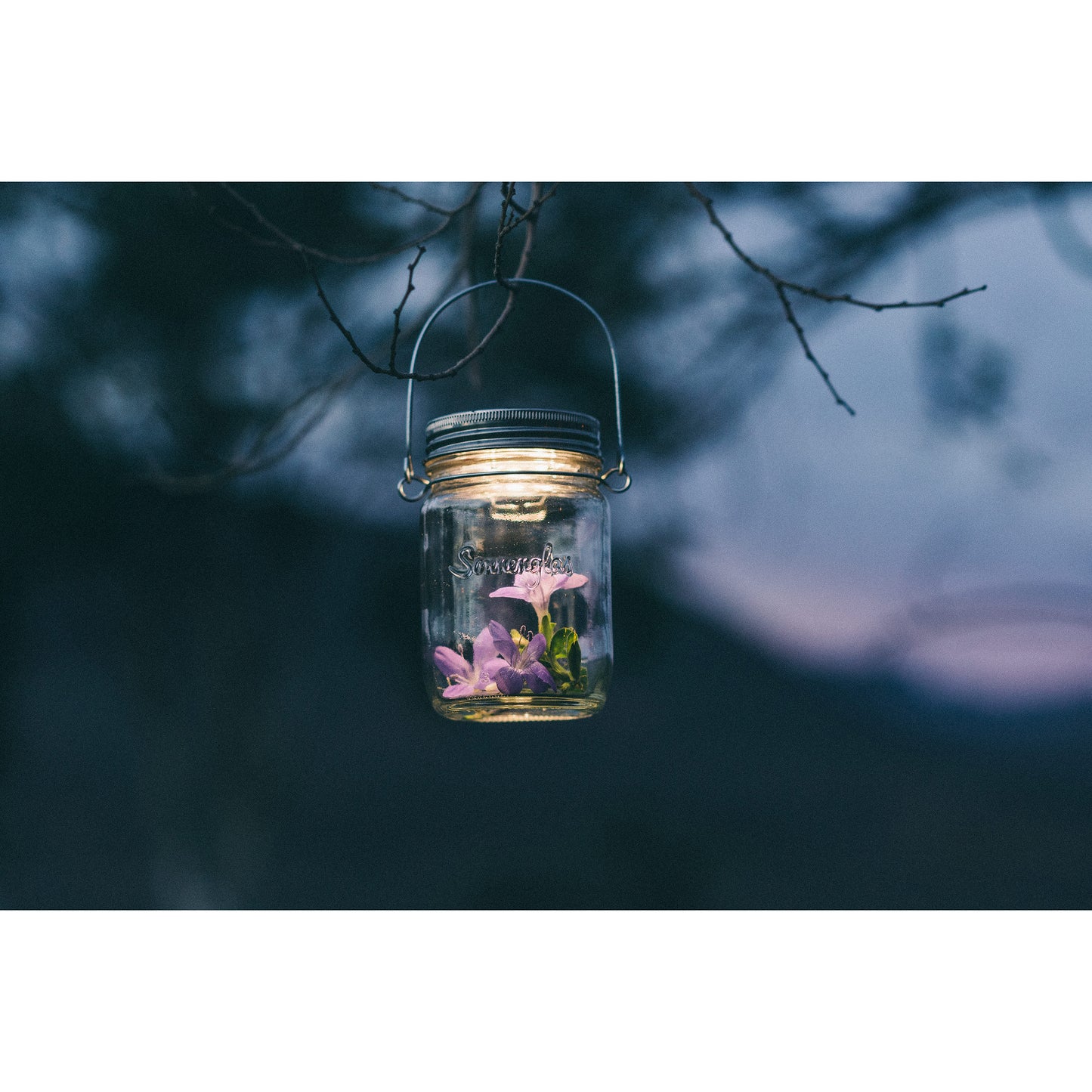 beispielfoto von der solarleuchte von sonnenglas am baum hängend mit blumen im glasinneren zur dekoration